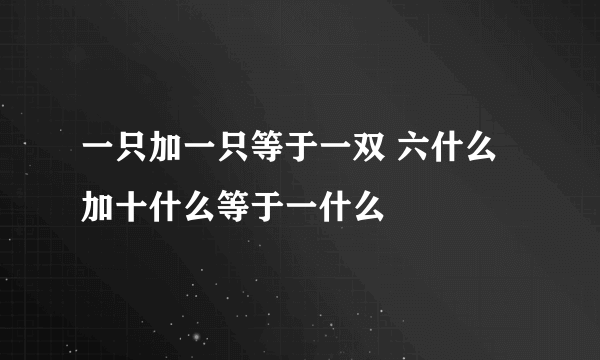 一只加一只等于一双 六什么加十什么等于一什么