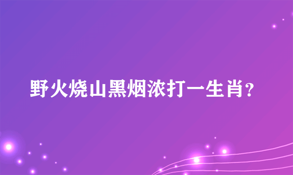 野火烧山黑烟浓打一生肖？