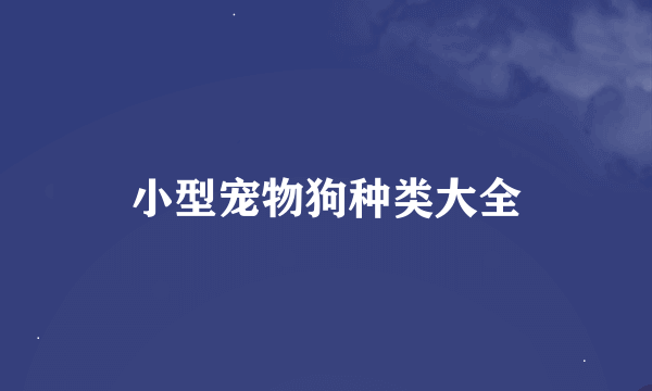 小型宠物狗种类大全