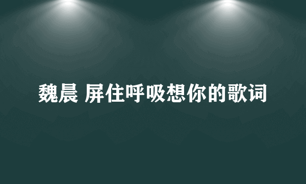 魏晨 屏住呼吸想你的歌词