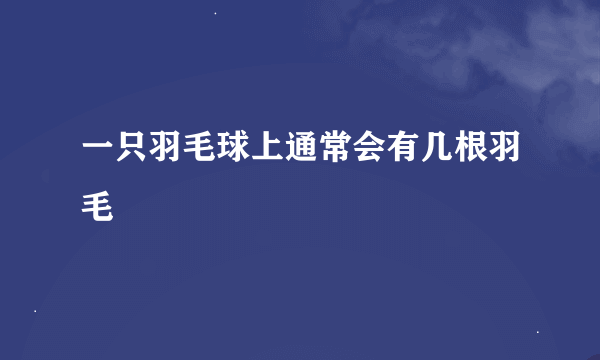 一只羽毛球上通常会有几根羽毛