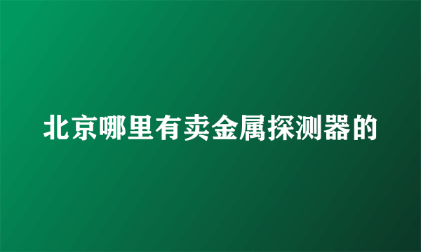 北京哪里有卖金属探测器的