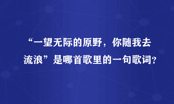 “一望无际的原野，你随我去流浪”是哪首歌里的一句歌词？