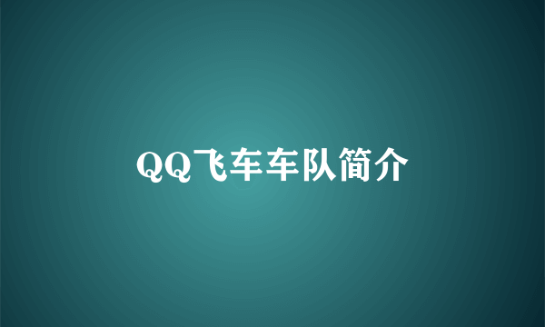 QQ飞车车队简介