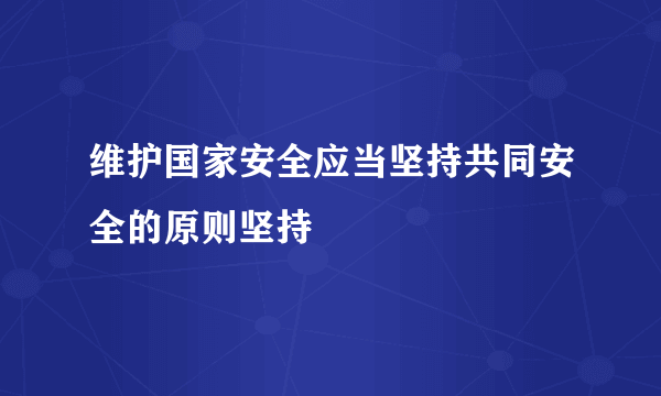 维护国家安全应当坚持共同安全的原则坚持