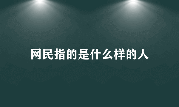 网民指的是什么样的人