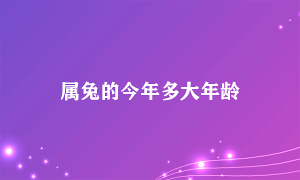 属兔的今年多大年龄