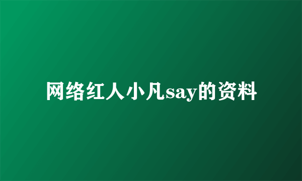 网络红人小凡say的资料