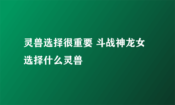 灵兽选择很重要 斗战神龙女选择什么灵兽