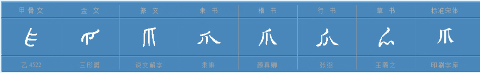 爪的多音字