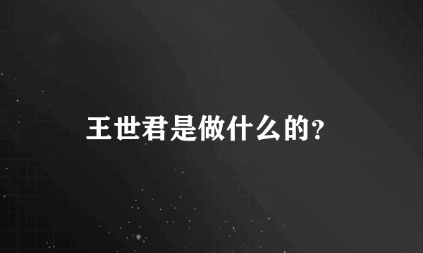 王世君是做什么的？