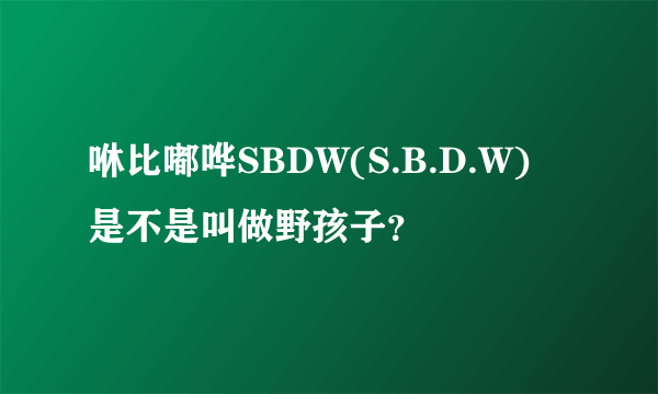 咻比嘟哗SBDW(S.B.D.W) 是不是叫做野孩子？