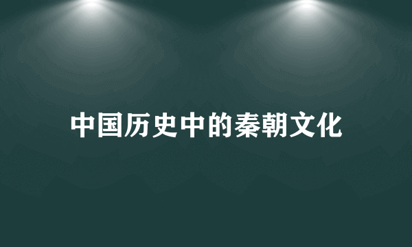 中国历史中的秦朝文化