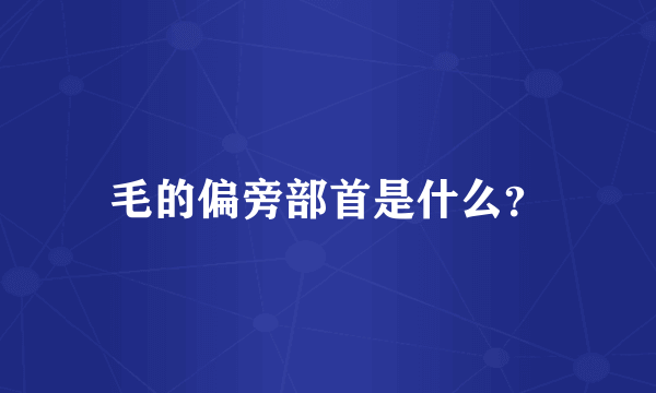 毛的偏旁部首是什么？