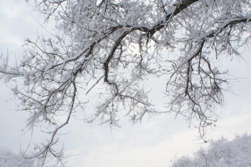 阳春白雪是什么意思