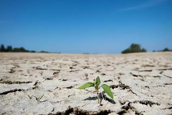 中国不缺电，为何却要拉闸限电？高温天限电的主要原因是什么？