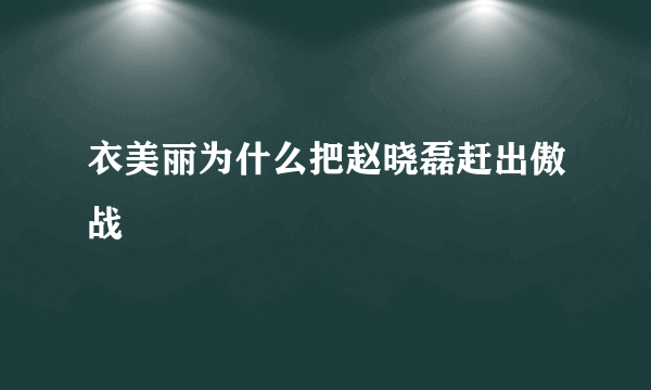 衣美丽为什么把赵晓磊赶出傲战