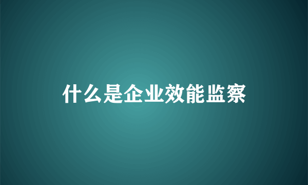 什么是企业效能监察