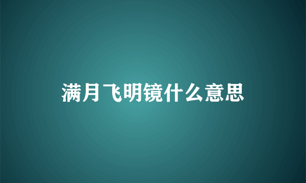 满月飞明镜什么意思