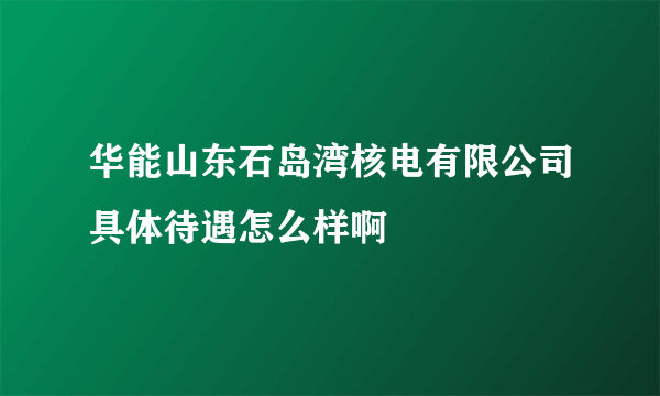 华能山东石岛湾核电有限公司具体待遇怎么样啊