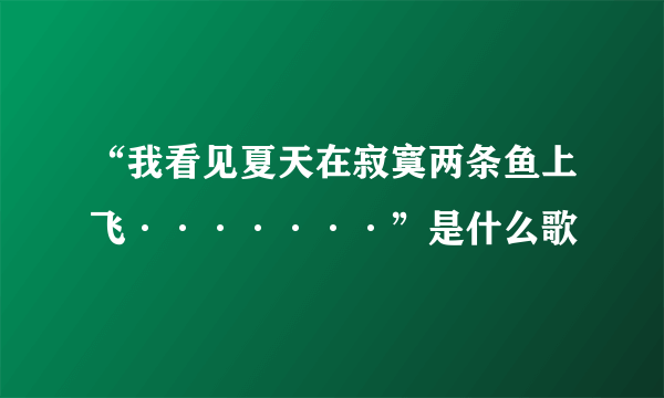 “我看见夏天在寂寞两条鱼上飞·······”是什么歌