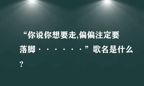 “你说你想要走,偏偏注定要落脚······”歌名是什么？