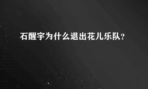 石醒宇为什么退出花儿乐队？