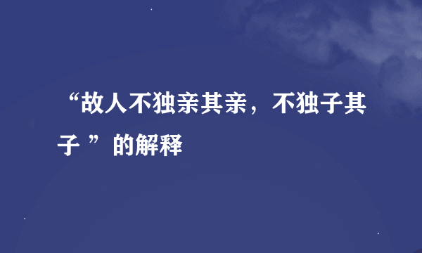 “故人不独亲其亲，不独子其子 ”的解释