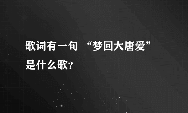 歌词有一句 “梦回大唐爱”是什么歌？