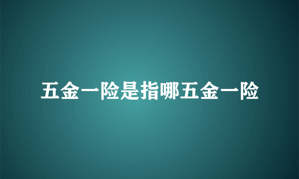 五金一险是指哪五金一险