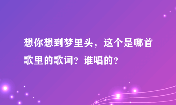 想你想到梦里头，这个是哪首歌里的歌词？谁唱的？