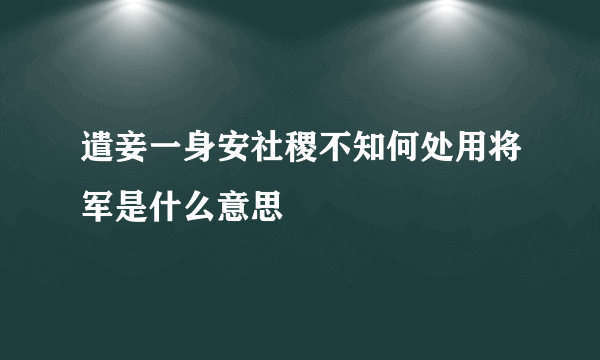 遣妾一身安社稷不知何处用将军是什么意思