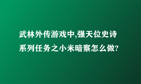 武林外传游戏中,强天位史诗系列任务之小米暗察怎么做?