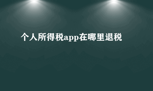 个人所得税app在哪里退税