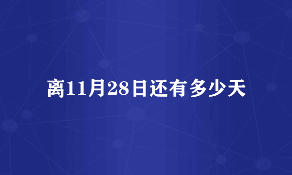 离11月28日还有多少天