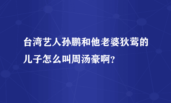 台湾艺人孙鹏和他老婆狄莺的儿子怎么叫周汤豪啊？