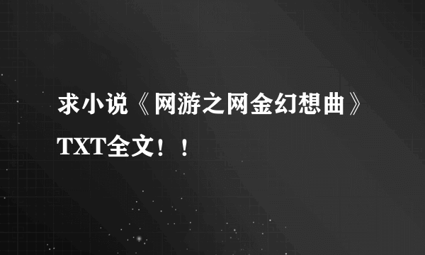 求小说《网游之网金幻想曲》TXT全文！！