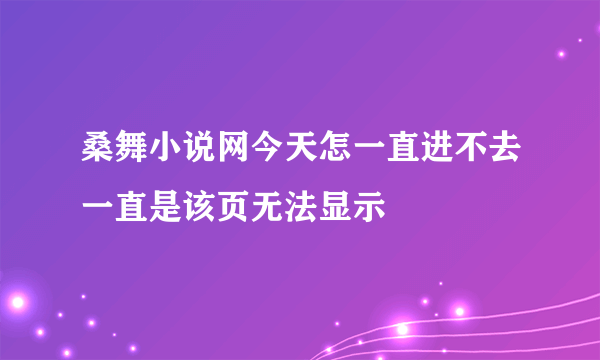 桑舞小说网今天怎一直进不去一直是该页无法显示