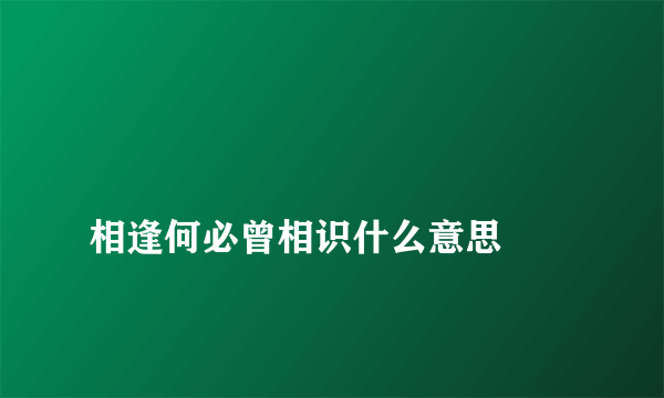 
相逢何必曾相识什么意思

