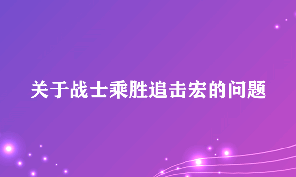 关于战士乘胜追击宏的问题