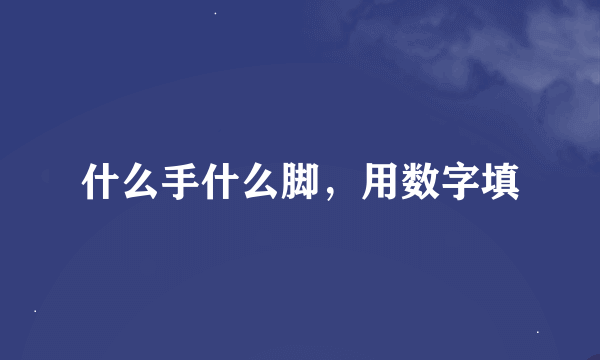 什么手什么脚，用数字填