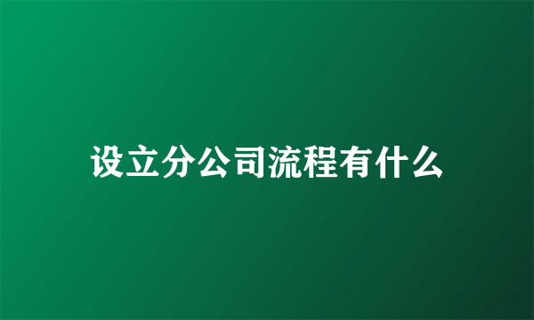 设立分公司流程有什么