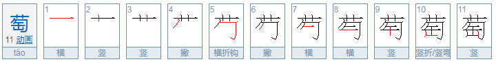 “萄”的两字组词有哪些？