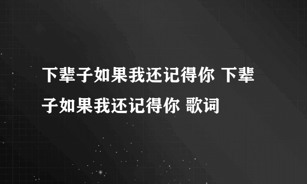 下辈子如果我还记得你 下辈子如果我还记得你 歌词