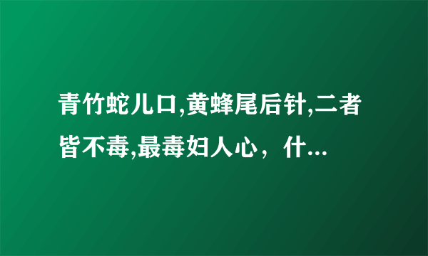 青竹蛇儿口,黄蜂尾后针,二者皆不毒,最毒妇人心，什么意思啊