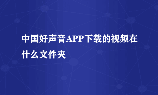 中国好声音APP下载的视频在什么文件夹