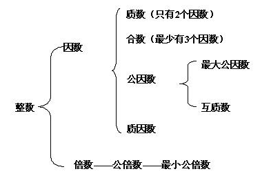 因数是什么意思？