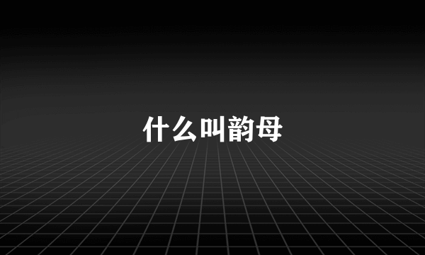 什么叫韵母