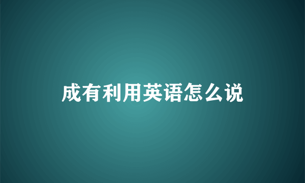 成有利用英语怎么说