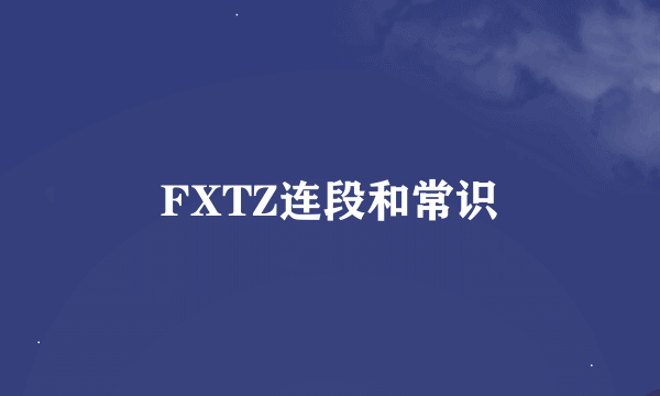 FXTZ连段和常识